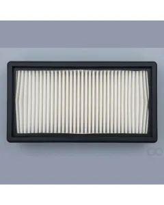 Case IH - AF4597 - Air Filter