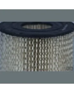 Case IH - AF4616 - Air Filter