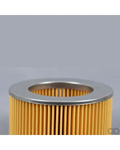 Case IH - AF4621 - Air Filter