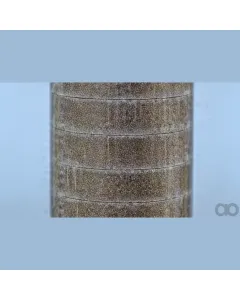 Case IH - AF4668 - Air Filter