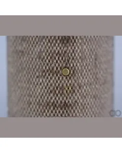 Case IH - AF4848 - Air Filter