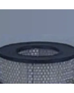 Case IH - AF4872 - Air Filter