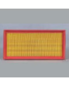 Case IH - AF4919 - Air Filter