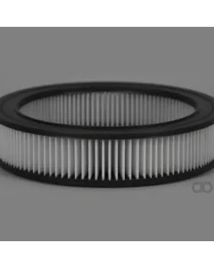 Case IH - AF4952 - Air Filter