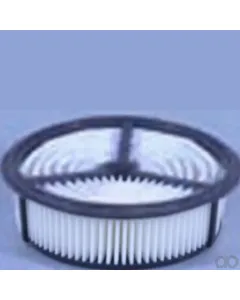 Case IH - AF4956 - Air Filter
