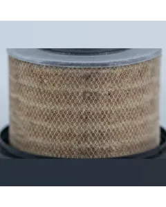 Case IH - AF978 - Air Filter