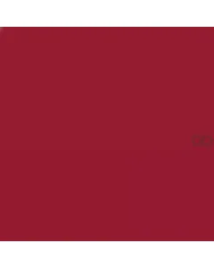 Case IH - B17562 - Paint