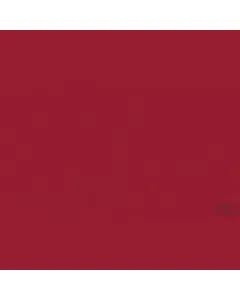 Case IH - B17564 - Paint