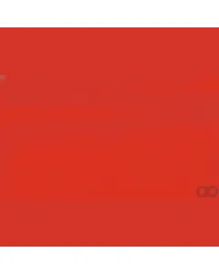 Case IH - B505031 - Paint