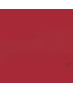 Case IH - B505042 - Paint