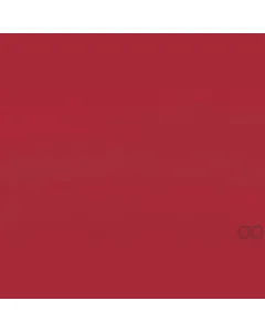 Case IH - B505043 - Paint