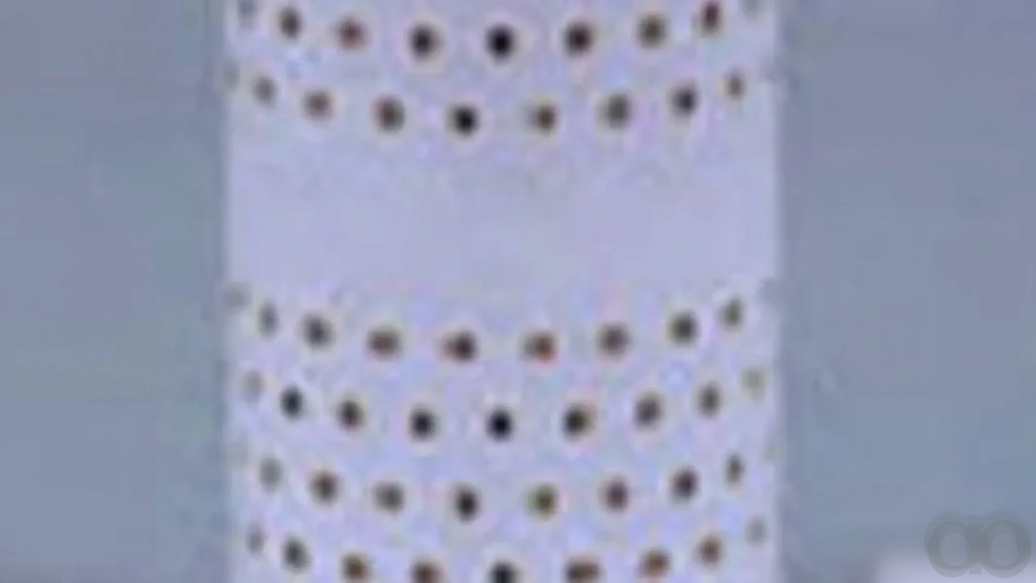 Case IH - LF4031 - Engine Oil Filter