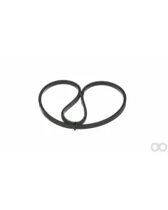 Case IH - MT40007487 - Belt