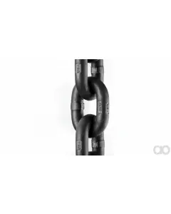 Case IH - PCC5050224 - Chain (Agricultural Machinery)