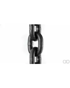 Case IH - PCC5050324 - Chain (Agricultural Machinery)