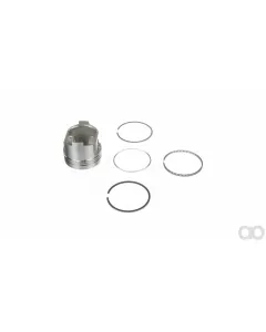 Case IH - SBA115017140 - Piston and Ring Set