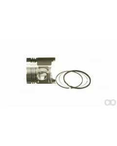Case IH - SBA115017491 - Piston and Ring Set
