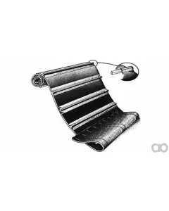 Case IH - ZAH1400104 - Belt