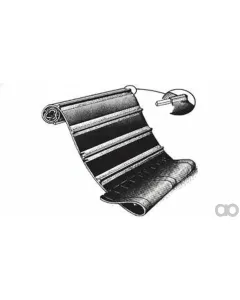 Case IH - ZAH1400134 - Belt