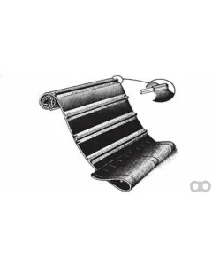 Case IH - ZAH1400150 - Belt