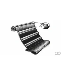 Case IH - ZAH1420143 - Belt