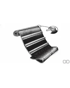 Case IH - ZAH1420151 - Strip