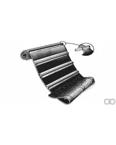 Case IH - ZAH1420166 - Belt