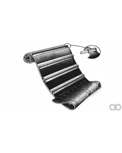 Case IH - ZAH1420191 - Belt