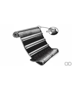 Case IH - ZAH1420207 - Belt