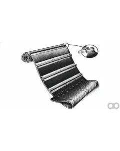 Case IH - ZAH1420244 - Belt