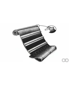 Case IH - ZAH1420247 - Belt