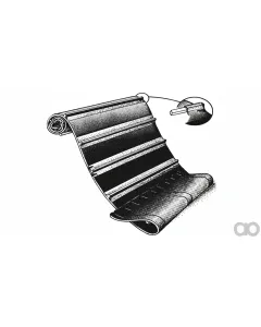 Case IH - ZAH1420262 - Belt