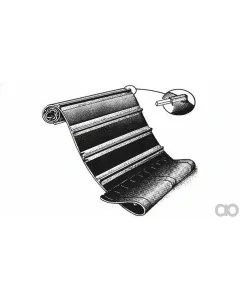 Case IH - ZAH1420266 - Belt