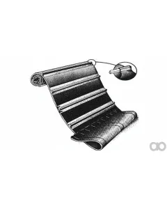 Case IH - ZAH1420277 - Belt