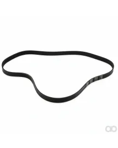 CAT - 2884641 - Belt-8K