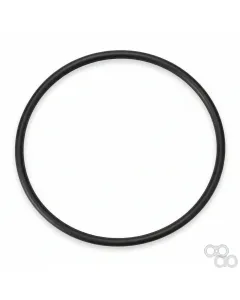 Challenger - 1313718 - O-Ring, Hydraulic Filter, PTO, Steering