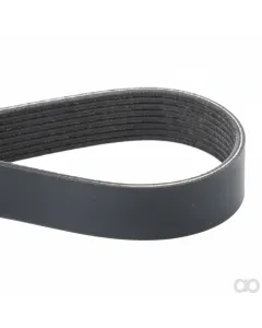 Challenger - 2020951 - Serpentine Belt, PK8 Profile