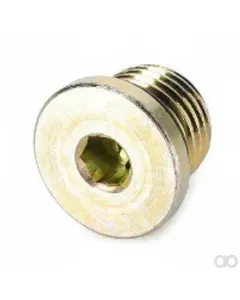 Challenger - 505183D1 - Hollow Hex Head Magnetic Plug
