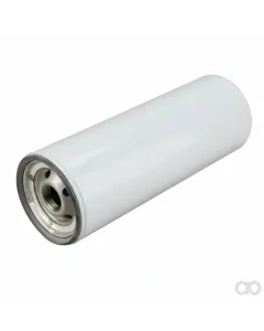 Challenger - 539270D1 - Fuel Filter
