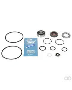 Challenger - 547936D1 - Seal Kit