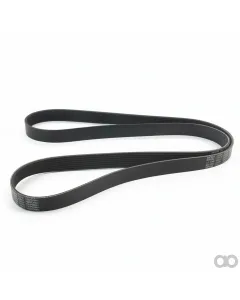 Cummins - 3944838 - Multi-Rib Belt