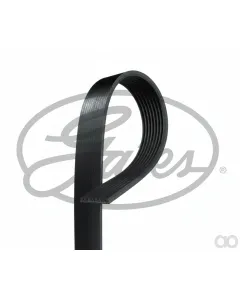 DAF - 1704613 - V-Ribbed Belt