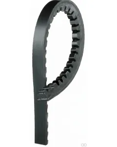 Dayco - 13A1255HD - PAS AVX13x1255 Dayco