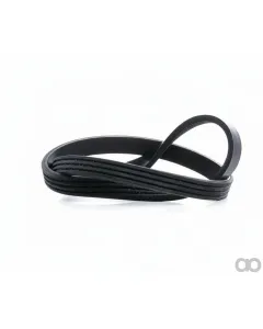 Dayco - 9PK1424HD - Belt PK9-1424mm DAF XF95/105, CF85
