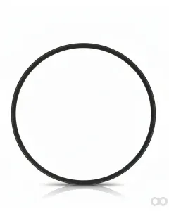 Detroit - 23507225 - Front Seal Track S/M