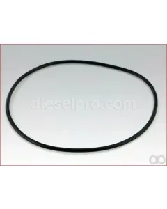 Detroit - 23511828 - O-Ring (Saltwater Pump)