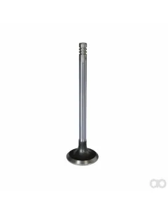 Deutz Fahr - Non Original - 04208095 - Intake Valve