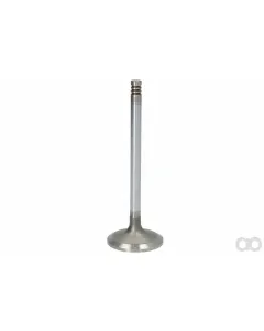 Deutz Fahr - Non Original - 04283380 - Intake Valve
