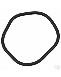 Fendt - 3388928M1 - O-Ring, Transmission
