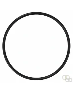 Fendt - 3713178M1 - Gasket, Clutch Seal